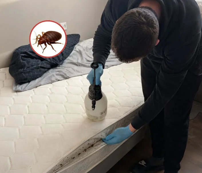 Technicien traitant un matelas contre les punaises de lit à Méry-sur-Oise